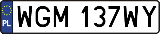 WGM137WY