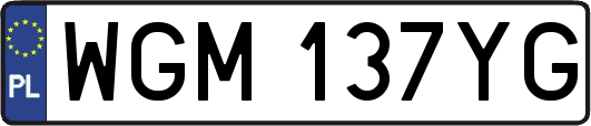 WGM137YG