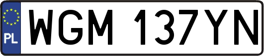 WGM137YN