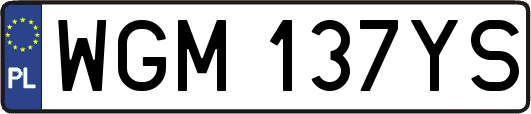 WGM137YS