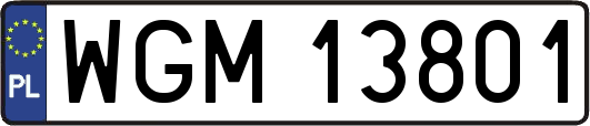 WGM13801