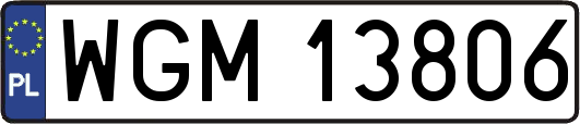 WGM13806