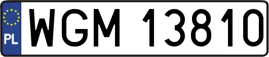 WGM13810