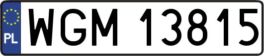 WGM13815