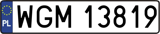 WGM13819