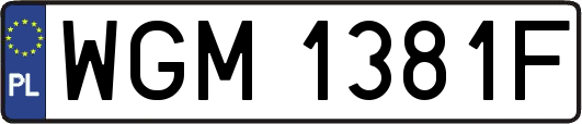WGM1381F
