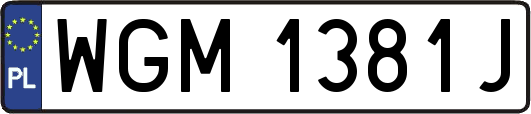 WGM1381J