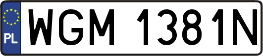 WGM1381N
