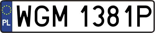 WGM1381P