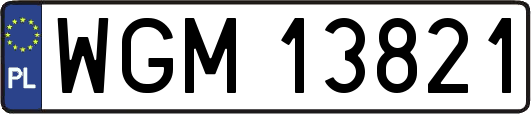 WGM13821
