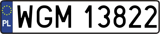 WGM13822