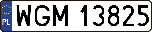 WGM13825