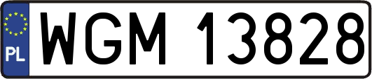 WGM13828