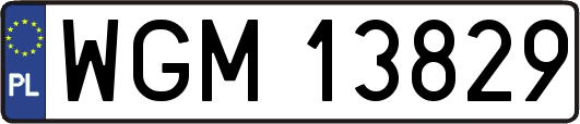 WGM13829