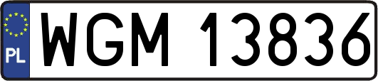WGM13836