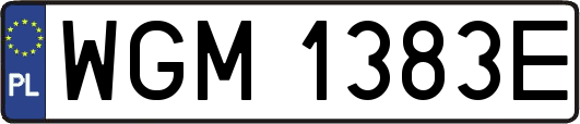 WGM1383E