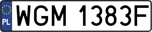 WGM1383F
