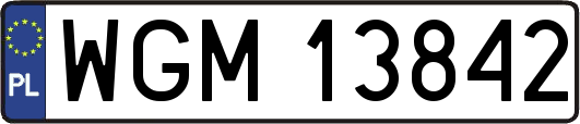WGM13842