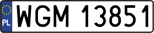 WGM13851