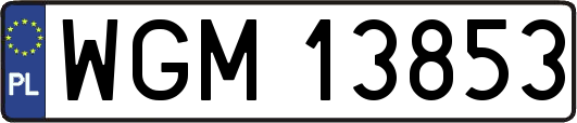 WGM13853