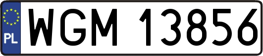 WGM13856