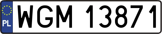 WGM13871