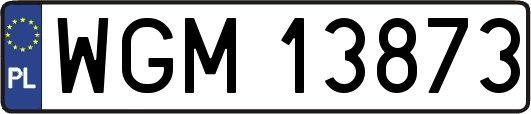 WGM13873