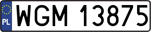 WGM13875