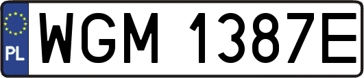 WGM1387E
