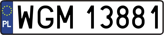WGM13881