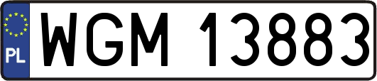WGM13883