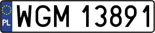 WGM13891