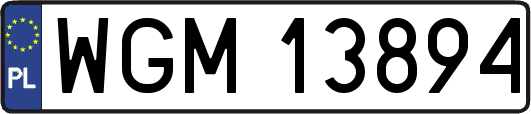 WGM13894
