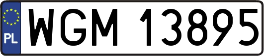 WGM13895