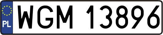WGM13896
