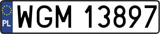 WGM13897