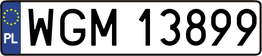 WGM13899