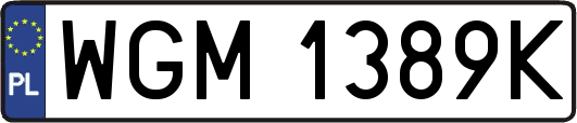 WGM1389K