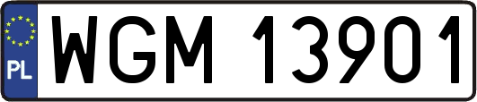 WGM13901