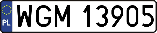 WGM13905
