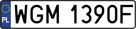 WGM1390F