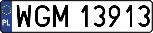 WGM13913