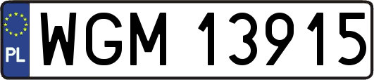 WGM13915