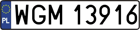 WGM13916