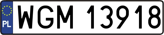 WGM13918