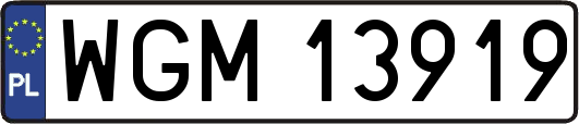 WGM13919