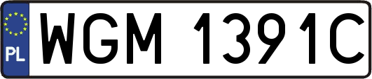 WGM1391C
