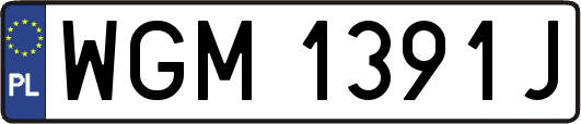 WGM1391J