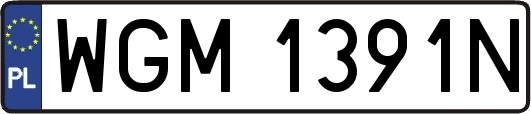 WGM1391N