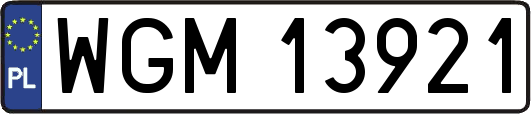 WGM13921